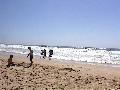 cen parti surf parti
